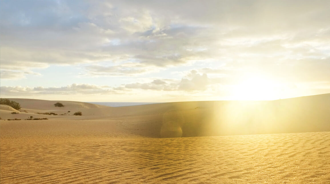 Canaryfulness Fuerteventura