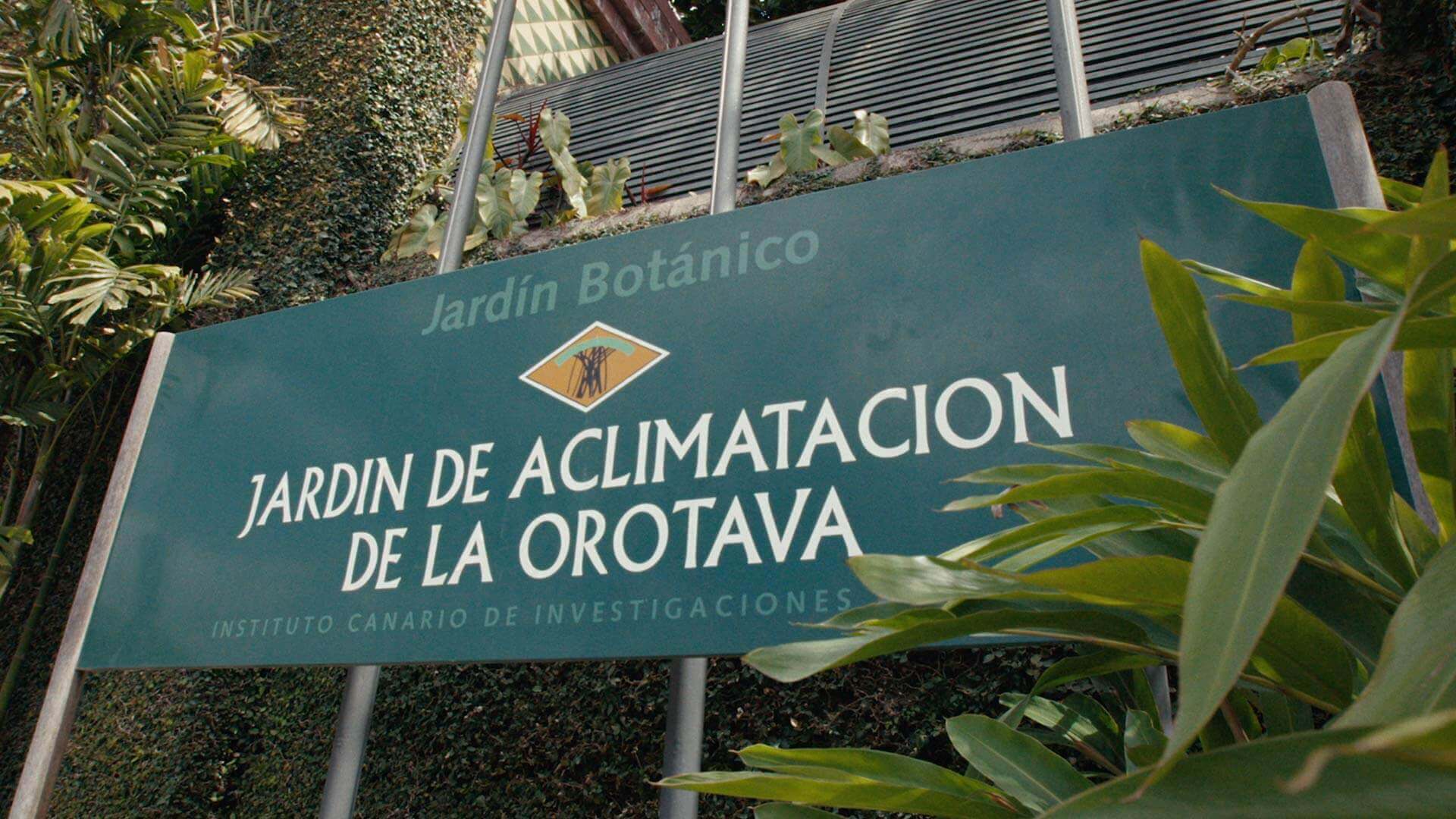 Jardin d’Acclimatation de La Orotava, Tenerife