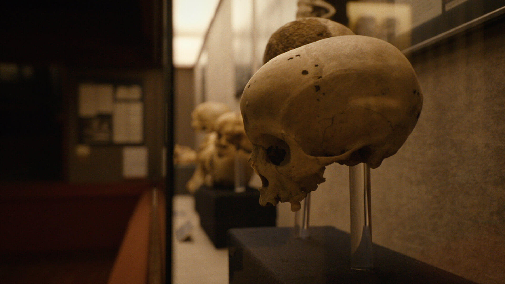 Le Musée Canario, Gran Canaria