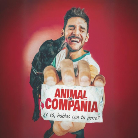 animalcompania_1