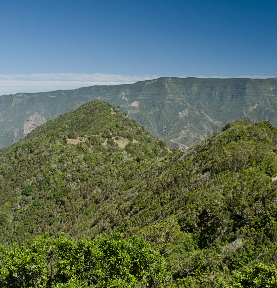 Vallehermoso-La-Gomera-Listado