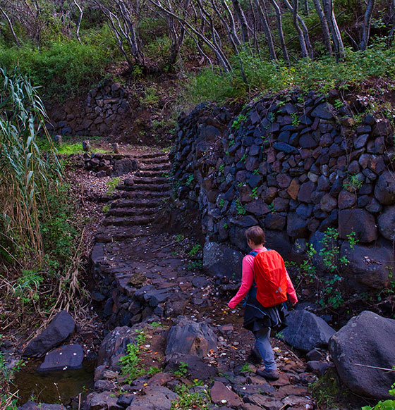 La Gomera