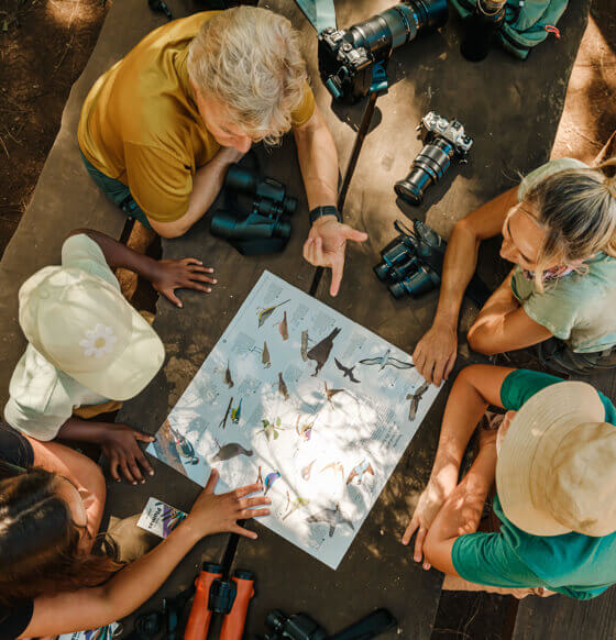 Groupe observant une planche d’oiseaux sur une table en plein air, avec des jumelles et des appareils photo.