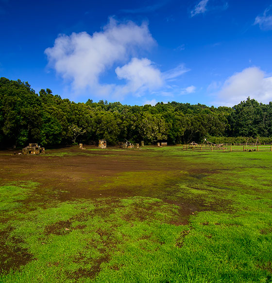 La Laguna Grande I