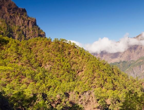 Mirador de Los Brecitos