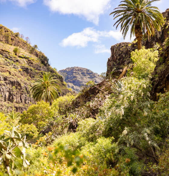 Sendero a la cascada en el barranco de Arure