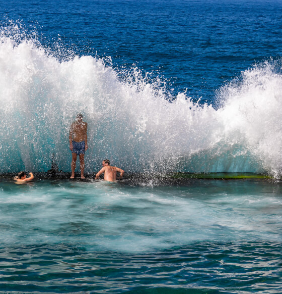 Charco de Isla Cangrejo