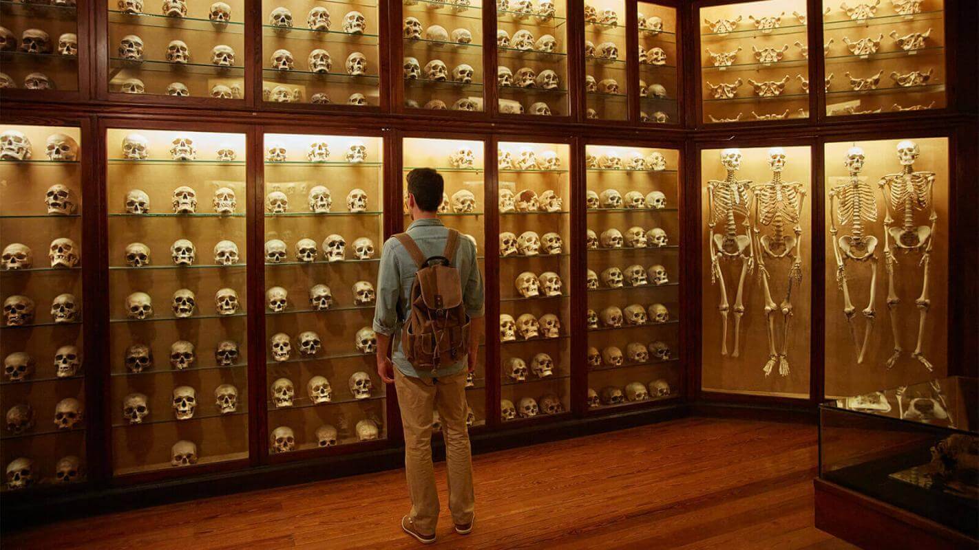 Salle des Crânes de Musée Canario, Gran Canaria.