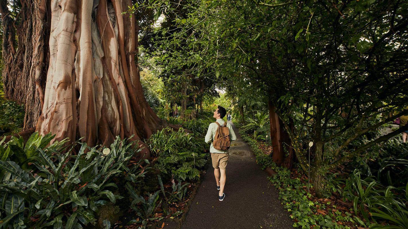 Jardin Botanique de Puerto de La Cruz, Tenerife.