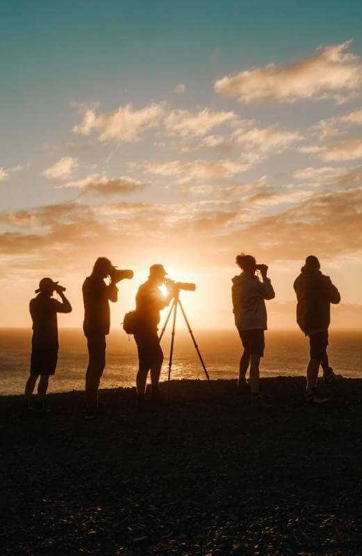 Silhouettes observant les oiseaux aux îles Canaries.