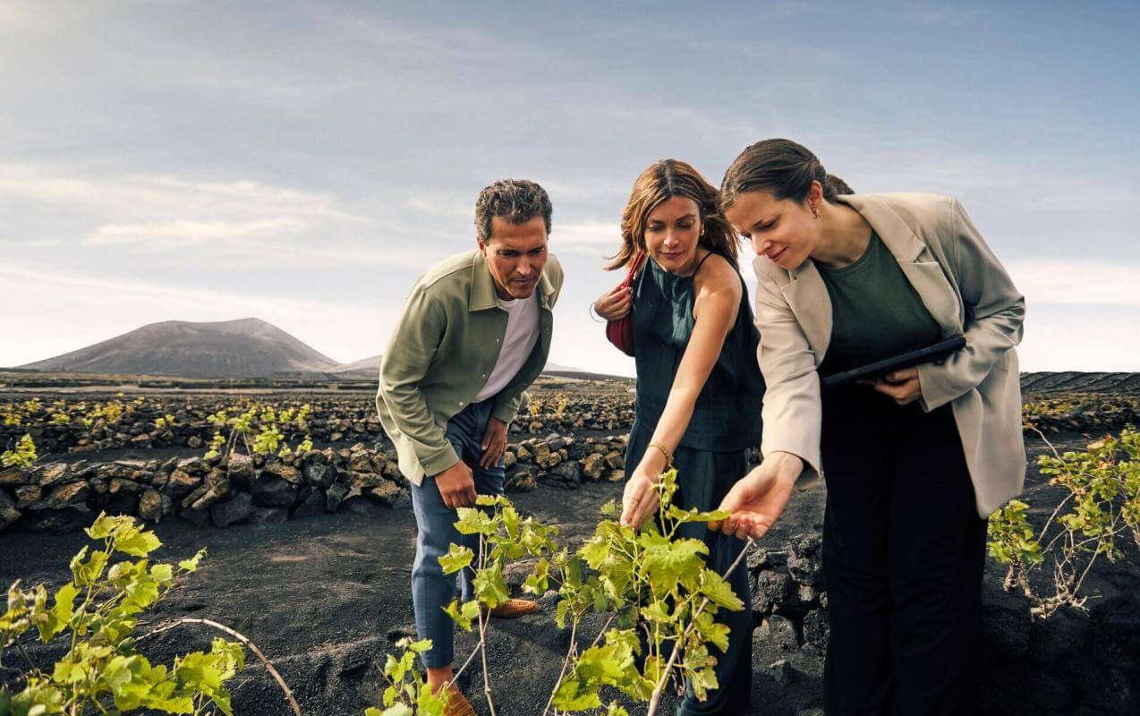 Groupe en train d’observer des vignes sur un sol volcanique au cours d’une expérience œnotouristique, avec un paysage naturel en toile de fond.