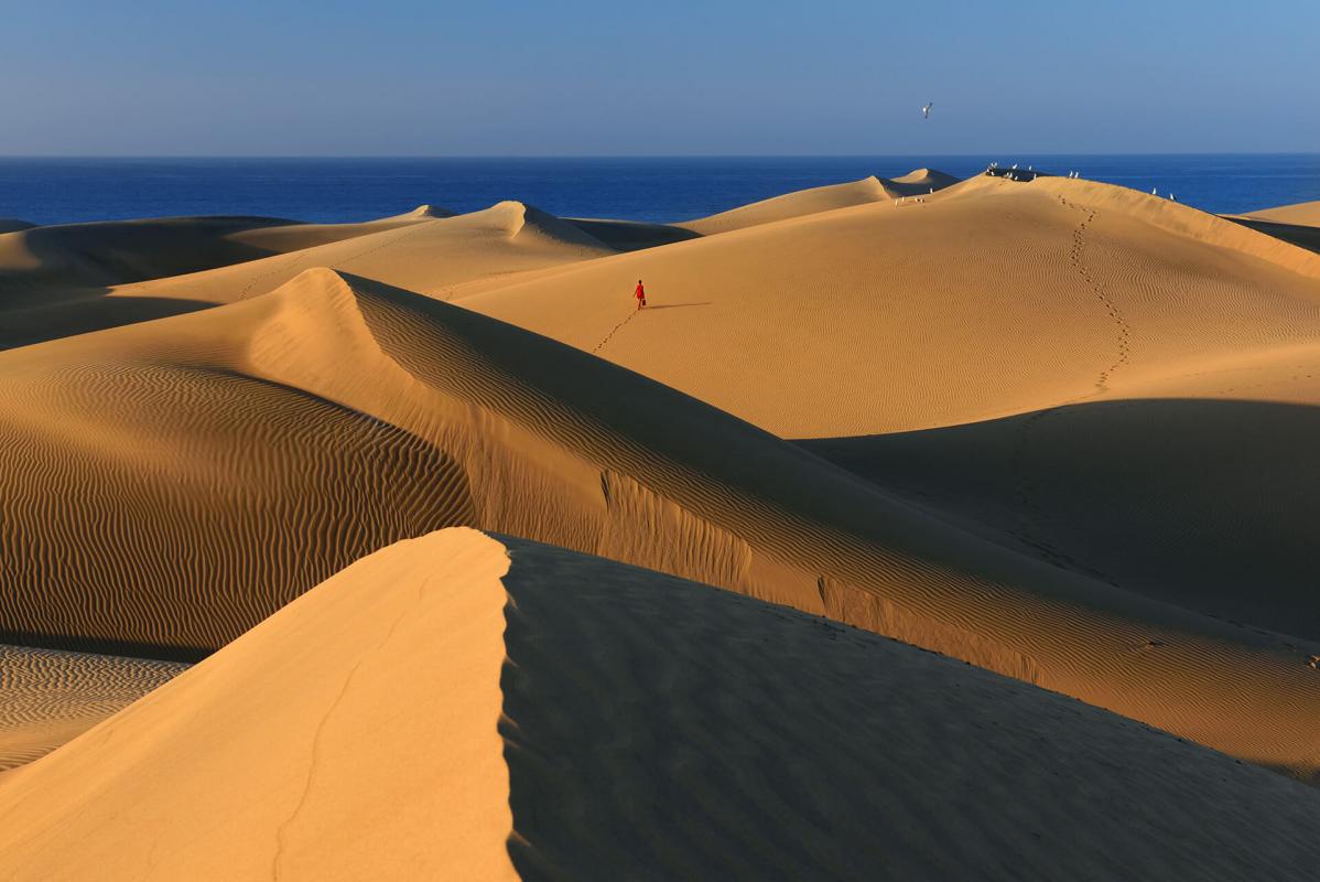 Reserva Natural Especial de las Dunas de Maspalomas, en Gran Canaria