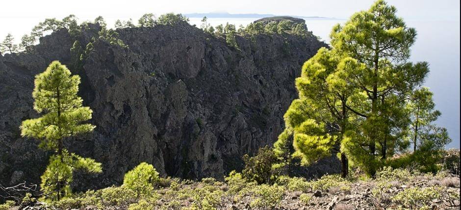 Tamadaba-Bajada de Faneque + Sentiers de Gran Canaria