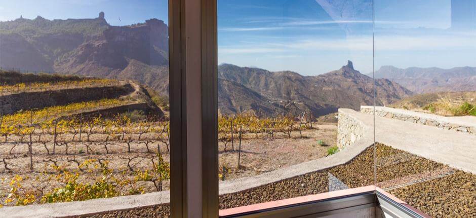 La Bodega Bentayga à Gran Canaria