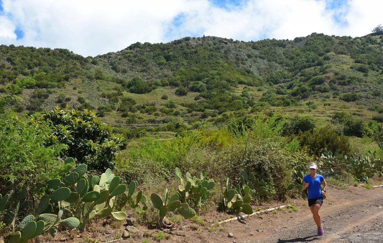 Buenavista del Norte-Trail