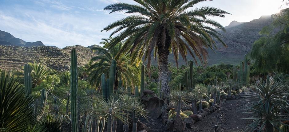 Cactualdea Park Musées et centres touristiques de Gran Canaria