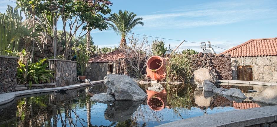 Cactualdea Park Musées et centres touristiques de Gran Canaria