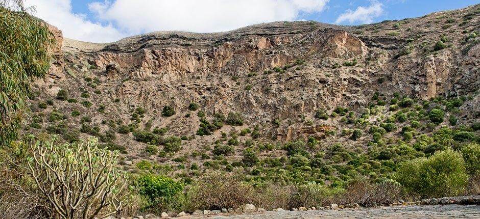 Caldera de Bandama + Sentiers de Gran Canaria