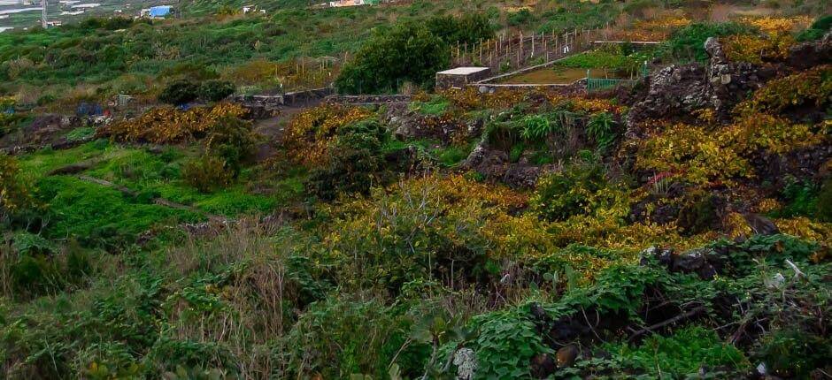 Los Llanillos hameaux de El Hierro