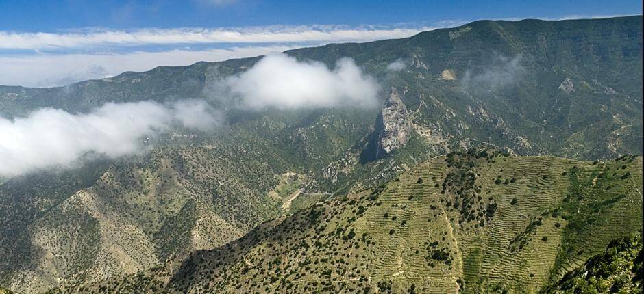 Secteur de Vallehermoso + Sentiers de La Gomera