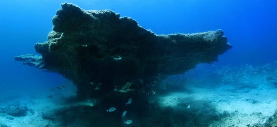 Faire de la plongée à Bajón del Río, à Fuerteventura