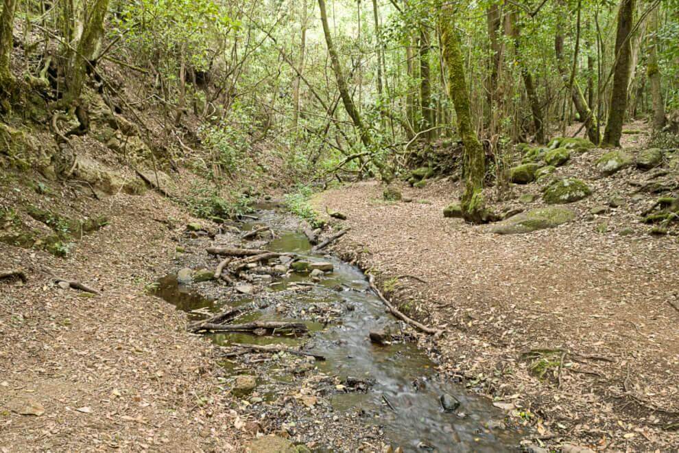 Sendero Contadero-El Cedro