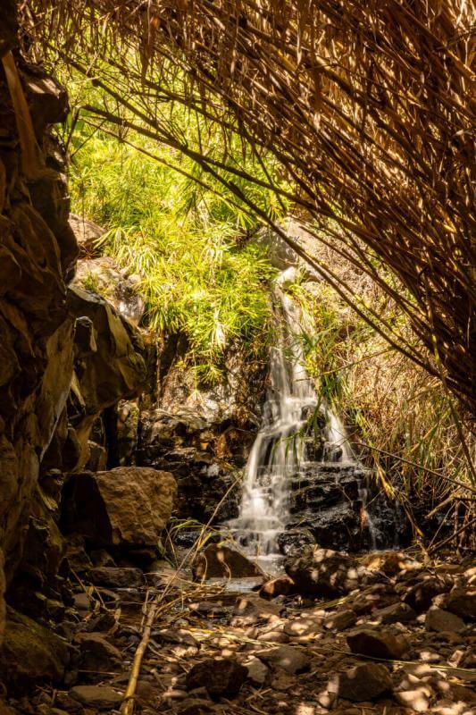Sendero a la cascada en el barranco de Arure