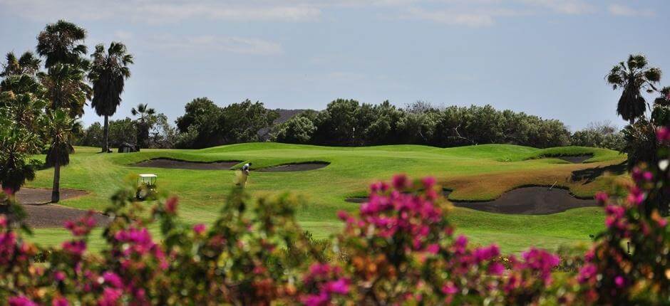 Golf del sur Terrains de golf de Tenerife