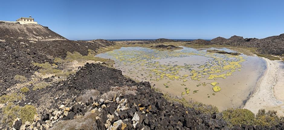 Îlot de Lobos + Sentiers de Fuerteventura