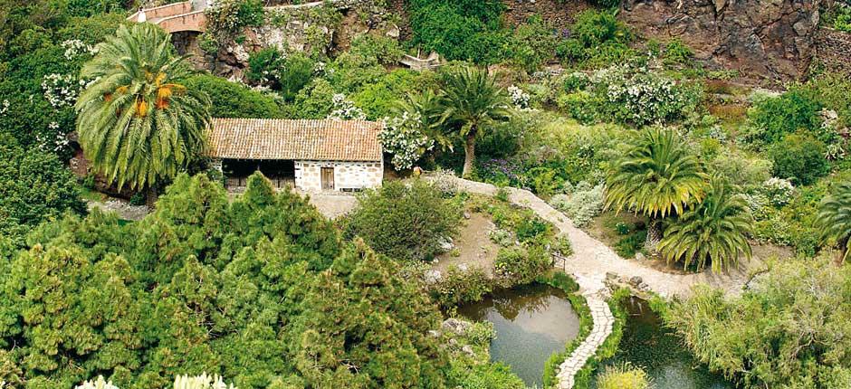 ardin Botanique Viera y Clavijo Musées et centres touristiques de Grande Canarie