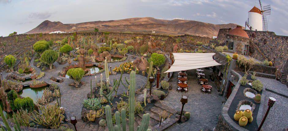 Jardin de Cactus Musées et centres touristiques de Lanzarote