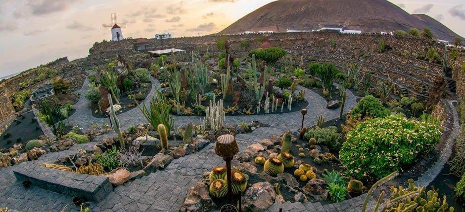 Jardin de Cactus Musées et centres touristiques de Lanzarote