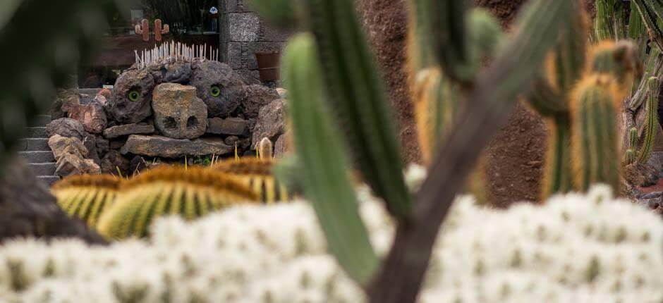 Jardin de Cactus Musées et centres touristiques de Lanzarote