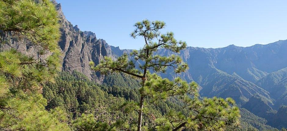 Caldera de Taburiente + Sentiers de La Palma