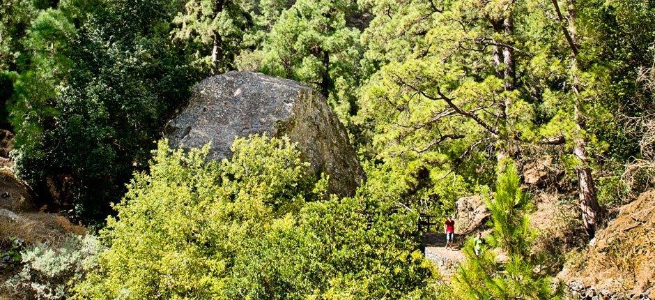 Caldera de Taburiente + Sentiers de La Palma