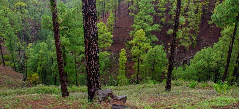 La Tricias hameaux de La Palma