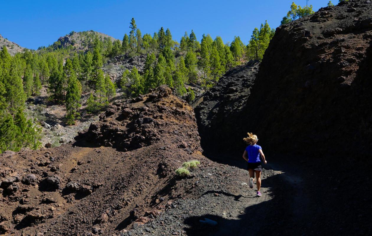 Los Cristianos - Teide-Trail