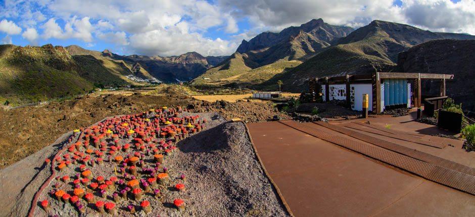 Maipés de Agaete Musées et centres touristiques de Grande Canarie