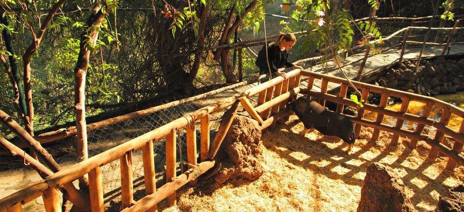 Maroparque, Zoos de La Palma