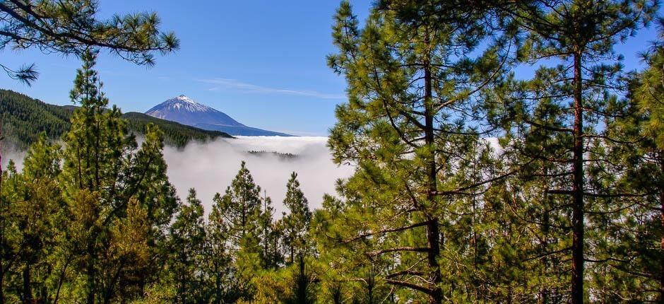 Mirador de Ortuño à Tenerife