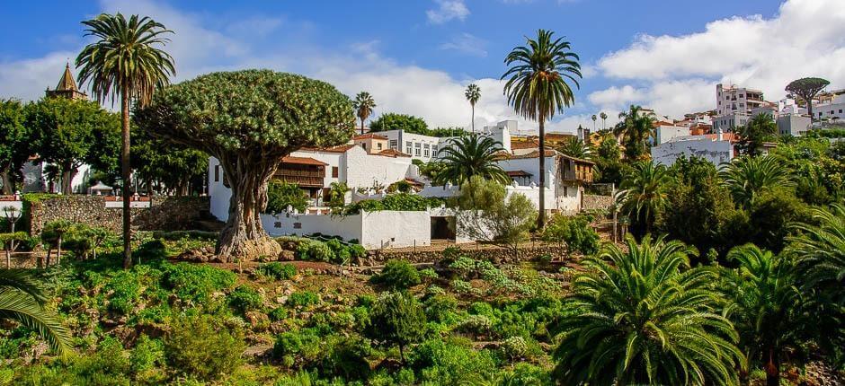 Parc du Drago Milenario Musées et centres touristiques de Tenerife