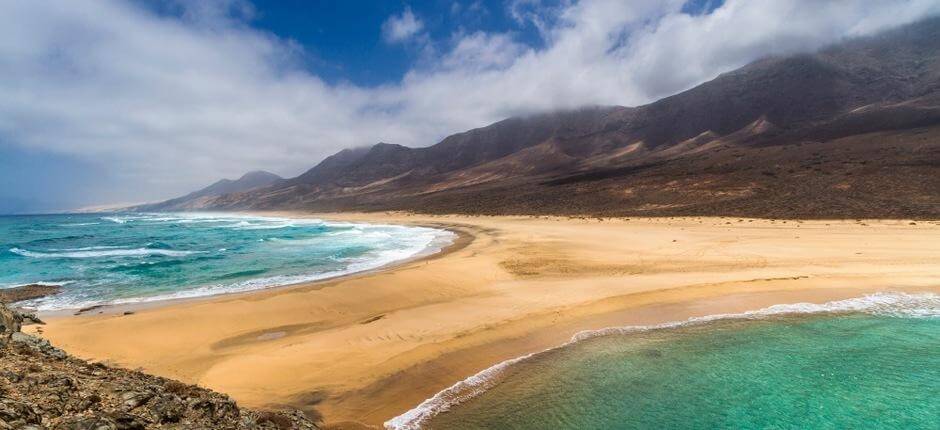 Plage de Cofete + Plages vierges de Fuerteventura