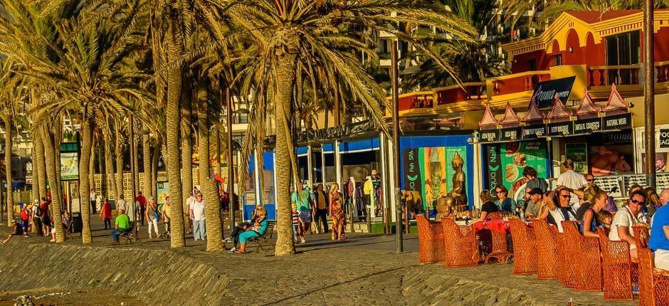 Playa de las Américas Destinations touristiques de Tenerife  