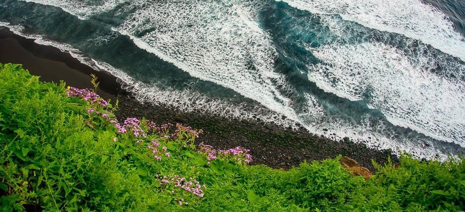 Plage de Los Patos + Plages vierges de Tenerife