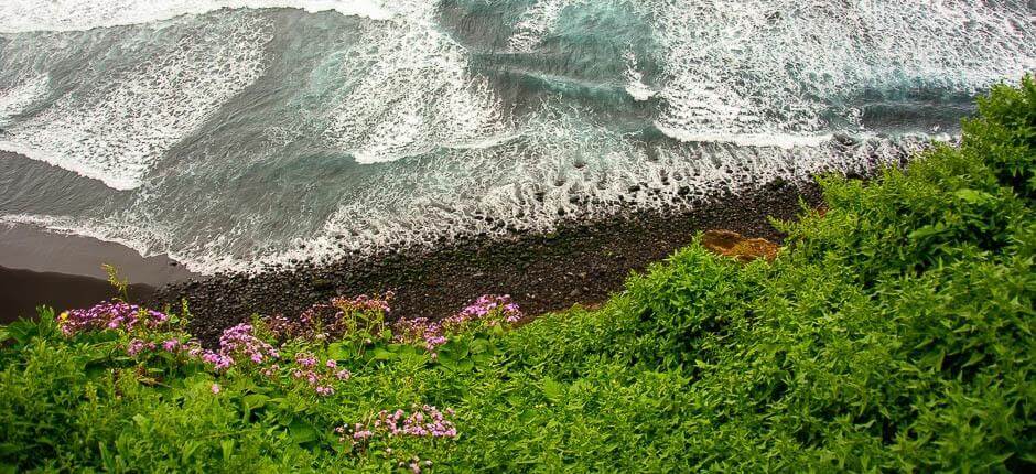 Plage de Los Patos + Plages vierges de Tenerife
