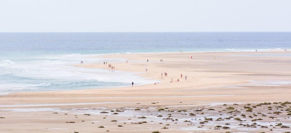 Plage de Sotavento + Plages vierges de Fuerteventura