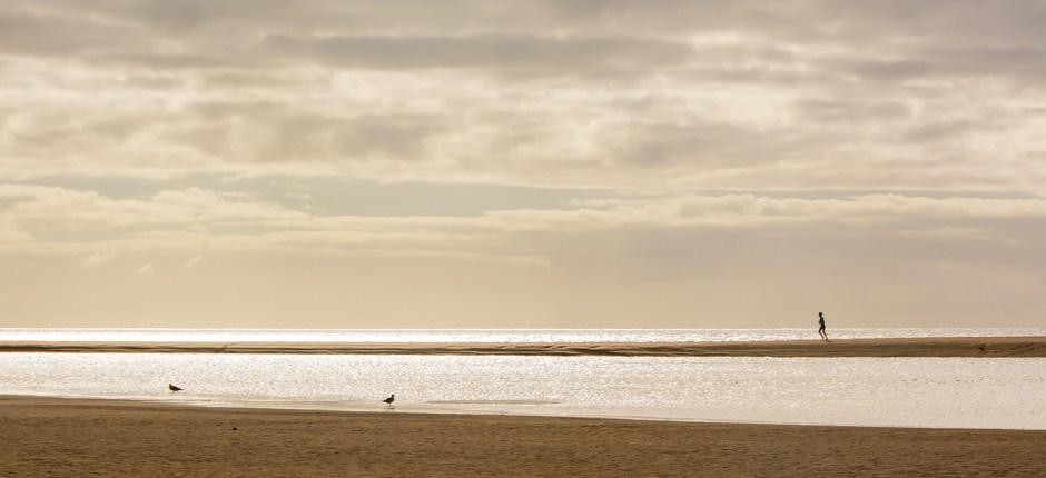 Plage de Sotavento + Plages vierges de Fuerteventura