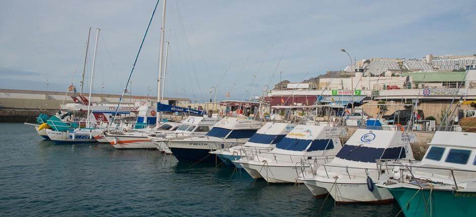 Port de plaisance de Puerto Rico Marinas et ports de plaisance de Gran Canaria