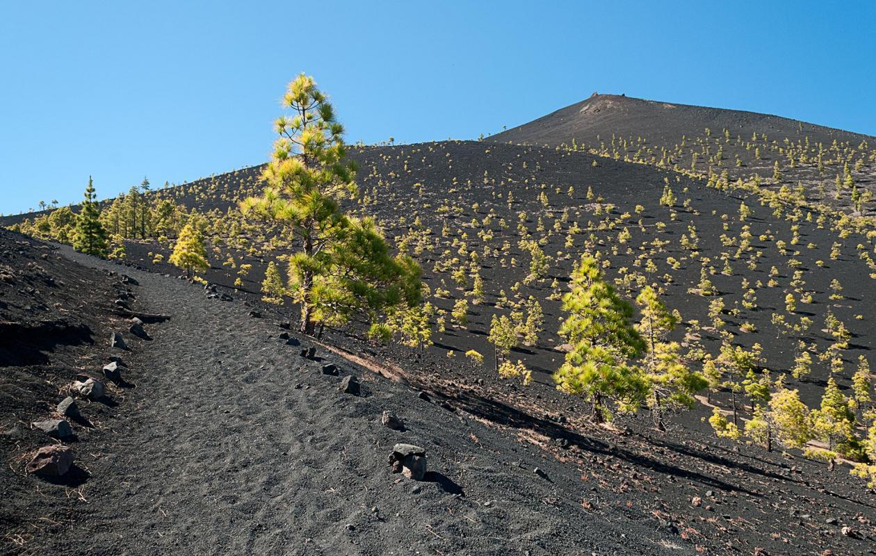 Ruta BTT en La Palma 