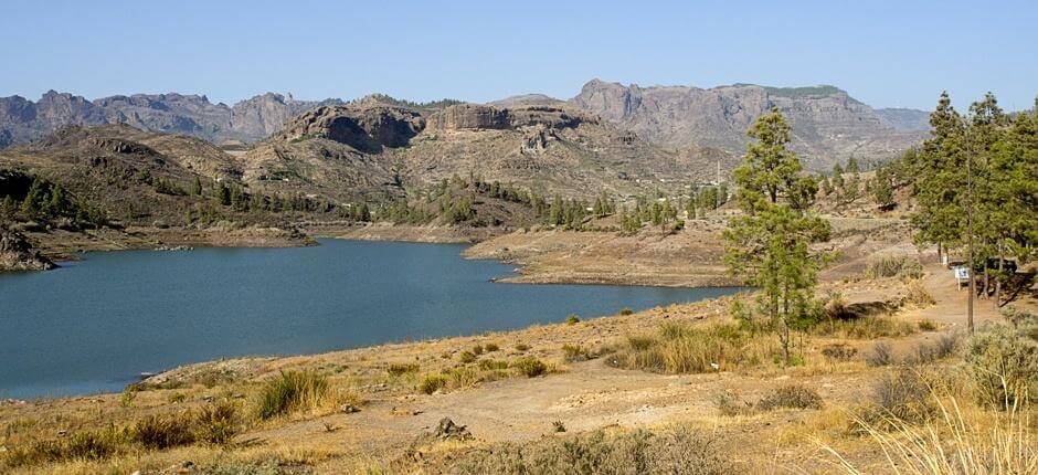 Randonnée à Ruta de las Presas Randonnée à Gran Canaria